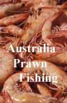 Australia Prawn Fishing
