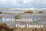 Environment - Our Impact