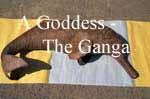 A Goddess - The Ganga