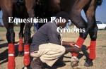 Equestrian Polo - People at Work - Grooms