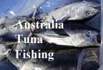 Australia Tuna  Fishing