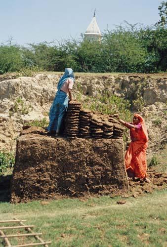 Cakes How Safe Rural Lifestyle India Bihar Box 4 File 6 ns2 E Narora Village life buffalo cow dung drying