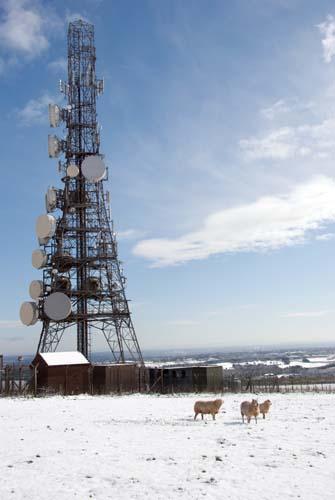 Advancement - Environment Our Impact UK Transmitting Tower_DSC0240