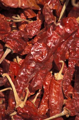 Red Hot Chillies - Generic, Box 2 File 6 1m 2 C