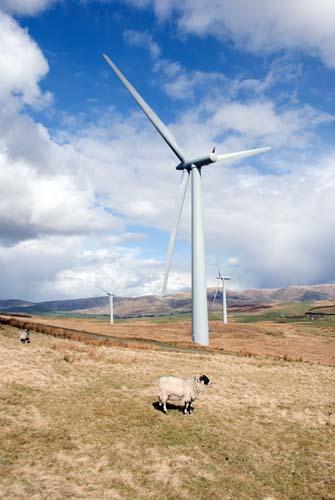 Intrusion - Environment Our Impact Wind Power UK_DSC0069
