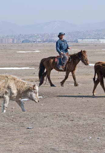 49 Ger District - Urban Lifestyle, Mongolia, Ulaanbaatar,People at Work _DSC0343