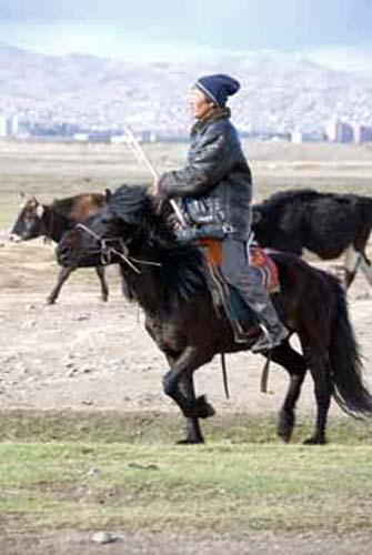 59 Ger District - Urban Lifestyle, Environment Our Impact, Mongolia, Ulaanbaatar,  People at Work Herdsman_DSC0301