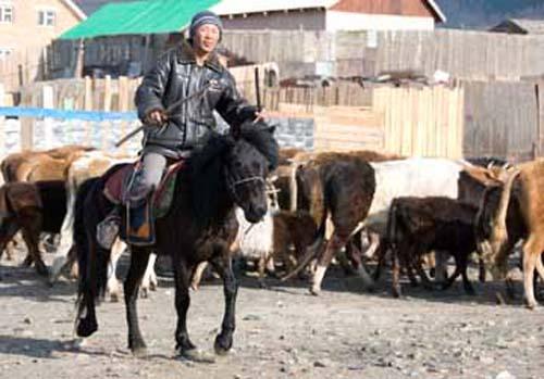 62 Herdsman - Ger District - Urban Lifestyle,  Mongolia, Ulaanbaatar, People at Work,_DSC0306