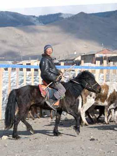 63 Rural and Urban Lifestyle - Ger District - Urban Lifestyle, Mongolia, Ulaanbaatar,  People at Work, Hredsman_DSC0305