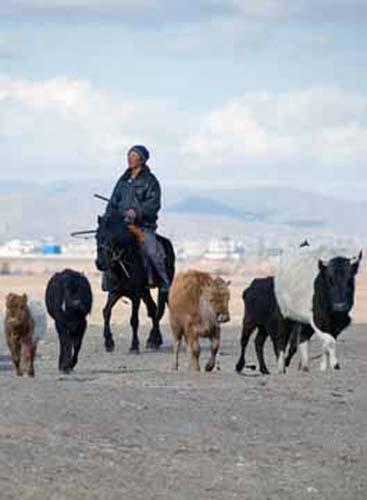 60 Rural Lifestyle Urban Location - Ger District - Urban Lifestyle,  Mongolia, Ulaanbaatar,  People at Work, _DSC0297