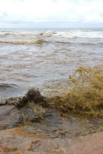 Splash Of Oil - Environment, Our Impact, Australia, Oil Pollution, Sea, _DSC0031.jpg