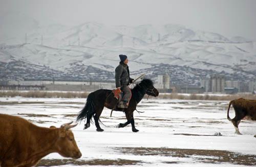 Mongolia - Herdsman at Work - Mongolia 1 _DSC0004.