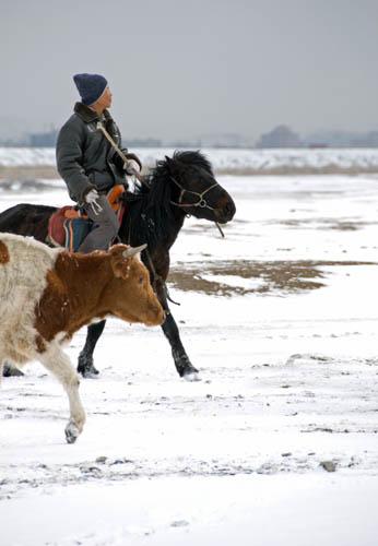 Hardy Mongolian Herdsman - Mongolia 1  _DSC0006.J