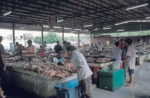 Fresh Fish - Vendors Malaysia Box 1 File 4 4ns 25 Street Scene Vendors Market Kuantan Fish stalls