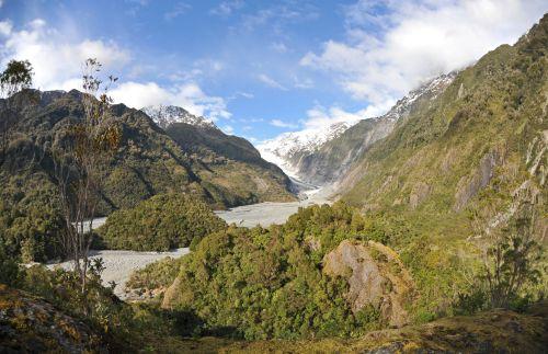 Glacier Country, Flora _ New Zealand South Island Franz Josef, DSC_2282