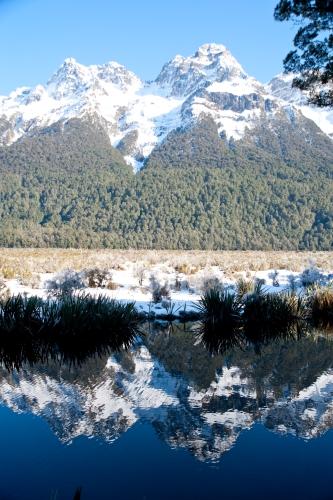 Otago Flora In Winter - Flora - South Island New Zealand - DSC_2815