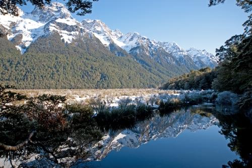 Winter Reflection - Flora - South Island New Zealand - DSC_2814