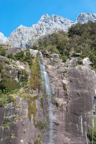Over The Rocks - Flora - South Island New Zealand    _DSC0026