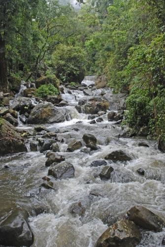 Clean Waters of Meghalaya - Reportage - 'Plight of the Khasi Tribe'_DSC0096