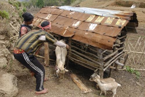 Goat House - Reportage - 'Plight of the Khasi Tribe'_DSC0227