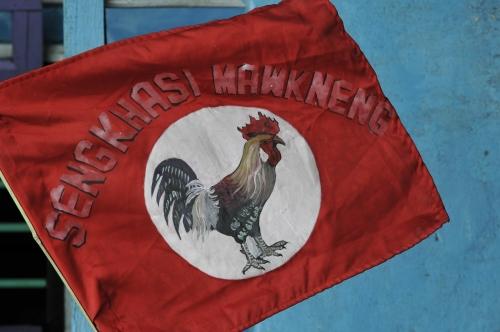 Their Flag - Reportage - 'Plight of the Khasi Tribe'_DSC4364