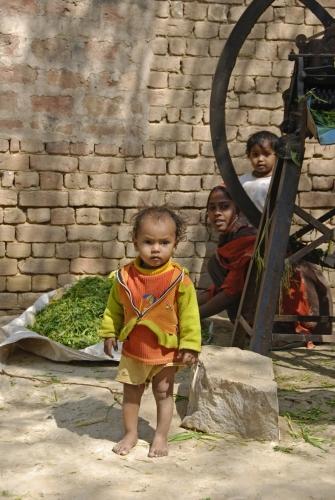 The Future Generation - Reportage - India - Death Knell For Snake Charming_DSC0108a