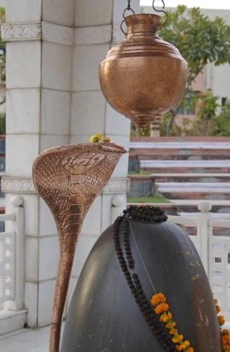 Revered Cobra Over Shivling - Reportage - India - Death Knell For Snake Charming_DSC0034d