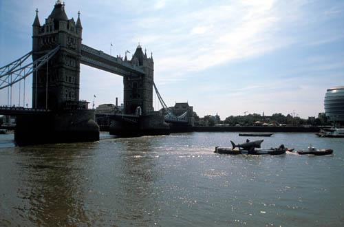 Tower Bridge - Shark Attack - UK London BPM Box 2 File 2 ns 4 17 