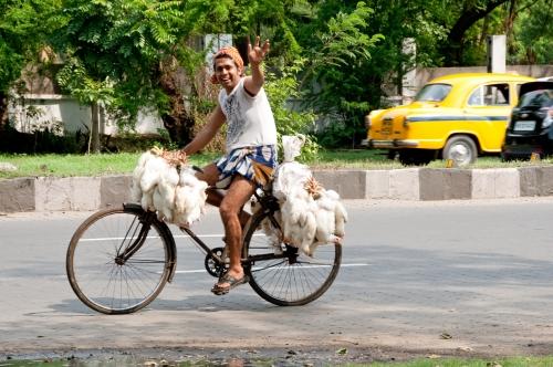 Happy Man - Urban Lifestyle, India, Transport  _DSC4547
