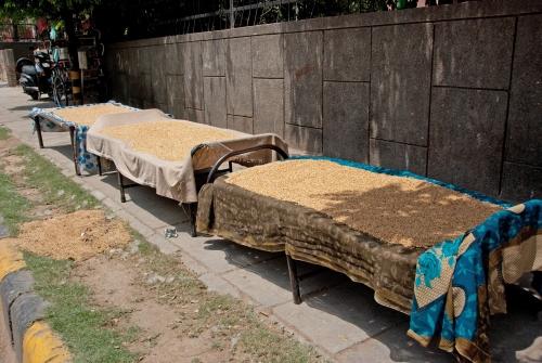 Rice Beds - India, Urban Lifestyle, Street Scene, Rice Drying _DSC0039