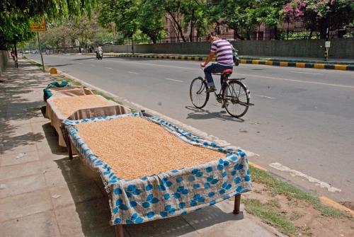 Passing Rice - India, Urban Lifestyle, Street Scene, Rice Drying _DSC0042