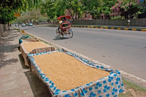 Part of the City Scene- India, Urban Lifestyle, Street Scene, Rice Drying _DSC0043