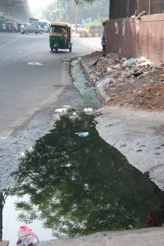 Nowhere To Go - Enviro - OI - India -  Pollution  _DSC0035