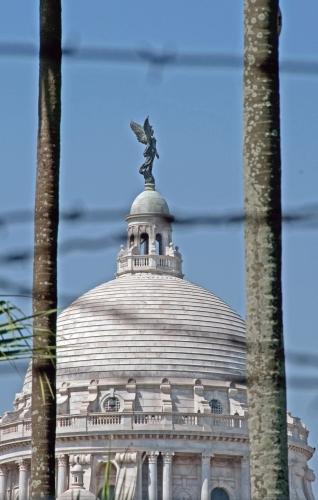 Through The Wire - BPM - India, Kolkata _DSC4429