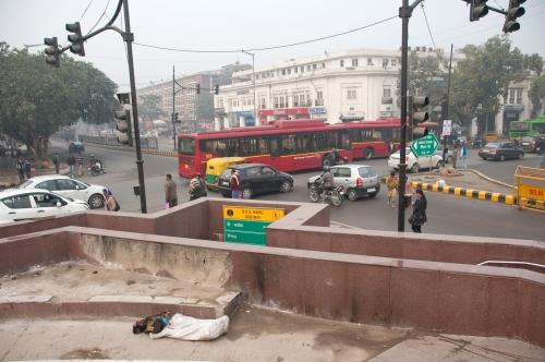 In The Bag On  New Delhi Street   - India, UL, Street Scene _DSC5994 (1)