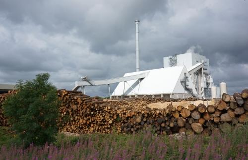 Logs to be Milled - UK - Enviro OI Logging  DSC02855
