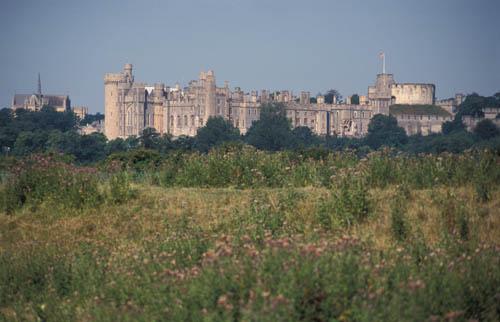 Arundel Castle and The Cathedral - UK BPM Box 2 File 2  m 1 5
