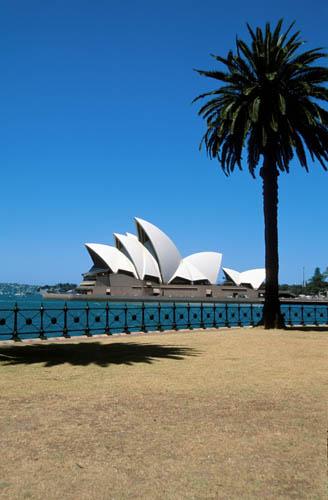 32 Sydney Opera House and Palm Tree - Australia BPM DVD 1 File 2 SOH Har Palm