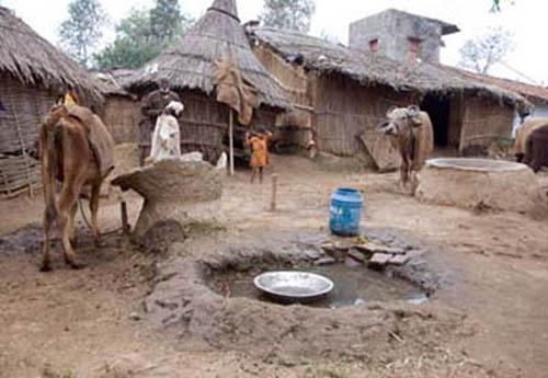 Village Lifestyle_DSC0037 DVD India Bihar Rural Lifestyle People Housing Buffalo