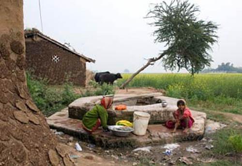New Open Well_DSC0052 DVD India Bihar Rural Lifestyle Dug Well Girls washing cloths Buffalo