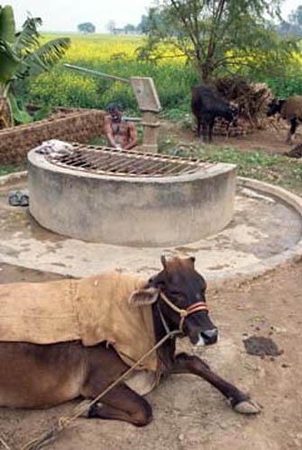 Important to Keep Area Polluiton Free_DSC0051 DVD India Bihar Rural Lifestyle New Hand Pump Dug Well Man Bathing Buffalo 