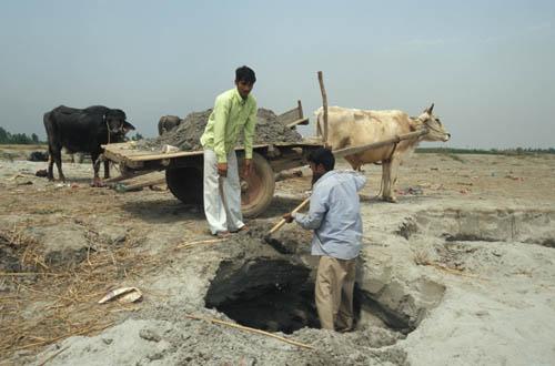 Sand Mining - India River and Ocean Lifestyle People at Work Environment Narora UP Box 4 File 6 ns 1 21Sand  Mining -.