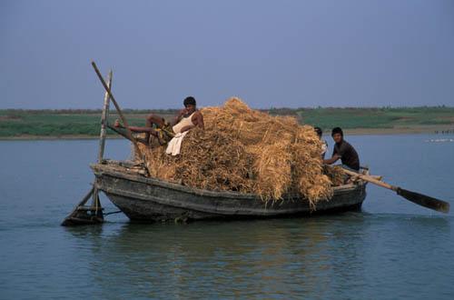 Transport - India River and Ocean Lifestyle People at Work Transport BhagalpurBox 4 File 6 ns1 36 Transporting Hay on Ganga