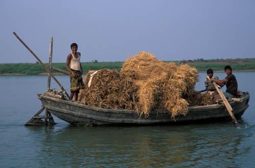 Transport on Ganga - India River and Ocean Lifestyle People at Work Transport BhagalpurBox 4 File 6 ns1 E Transporting Hay on Ganga