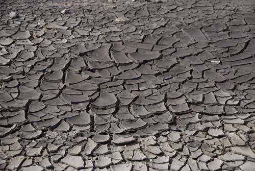5  Scorched Earth Environment Our Impact - Lack of Water Mud Cracking 005