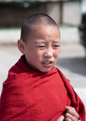 Young Mongolian Buddhist Monk