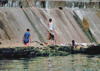 How Healthy - River Life Philippines