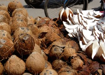 Coconut Stall 