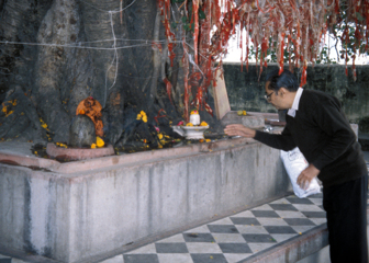Hindu Street Shrine