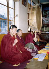 Buddhist Monks in Harmony
